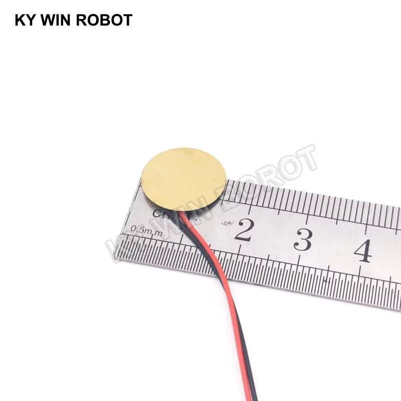 10 Pcs Piezoelectric Piezo Cer - R/Diy Electronics avaliação e preço